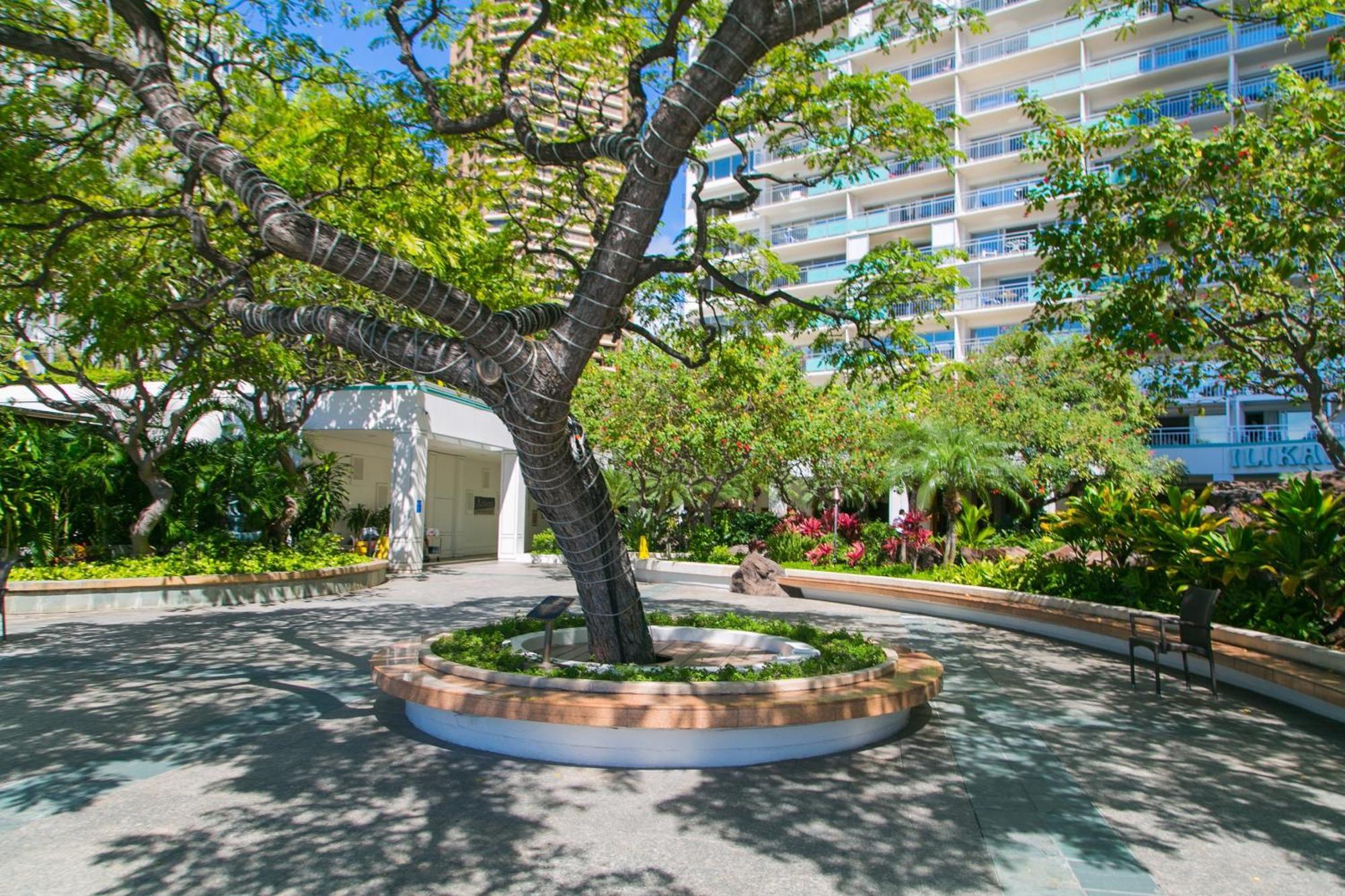 Ilikai Tower 1533 Yacht Harbor View 1Br Apartment Honolulu Exterior foto